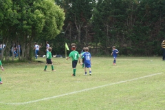 IMG_20230604_113325