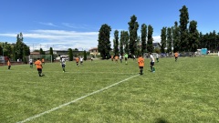 IMG_9269