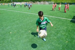IMG_20230527_114204