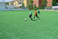 IMG_20230527_115650-1