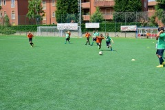 IMG_20230527_115713-1