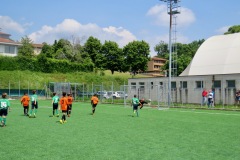 IMG_20230527_141300